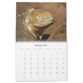Galapagos-Tiere 2025 Kalender (Jan 2027)