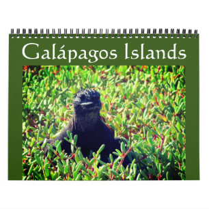Galapagos-Tiere 2027 Kalender