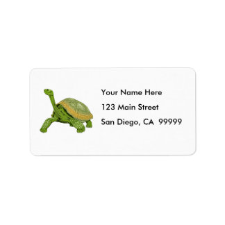 Galapagos Tortoise Adressaufkleber