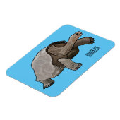 Galapagos-Tortoise-Cartoon Magnet (Linke Seite)