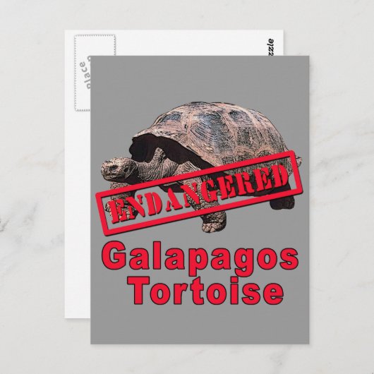 Galapagos Tortoise gefährdete Art Tshirts Postkarte (Vorne/Hinten)