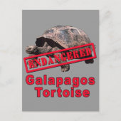 Galapagos Tortoise gefährdete Art Tshirts Postkarte (Vorderseite)
