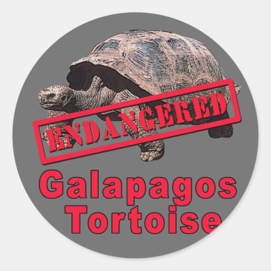 Galapagos Tortoise gefährdete Art Tshirts Runder Aufkleber (Vorderseite)