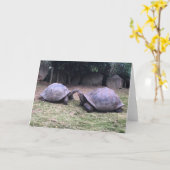 Galapagos Tortoise Grußkarte Karte (Gelbe Blume)