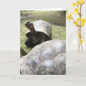 Galapagos Tortoise Grußkarte Nr. 2 (lustig innen) Karte (Gelbe Blume)