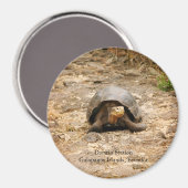Galapagos Tortoise Magnet (Vorderseite/Rückseite)