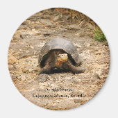 Galapagos Tortoise Magnet (Vorne)