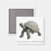 Galapagos Tortoise Magnet (Vorderseite/Rückseite)