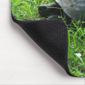 Galápagos Tortoise Mousepad (Ecke)