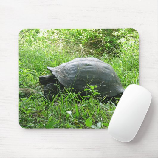 Galápagos Tortoise Mousepad (Mit Mouse)