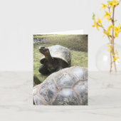 galapagos tortoise notecard #2 (blank inside) karte (Gelbe Blume)