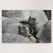 Galapagos-Tortoises Puzzle (Horizontal)