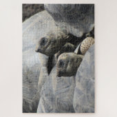 Galapagos-Tortoises Puzzle (Vertikal)