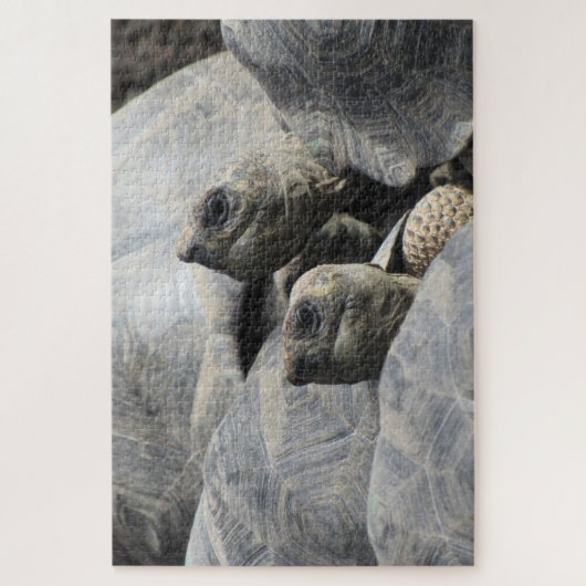 Galapagos-Tortoises Puzzle (Vertikal)