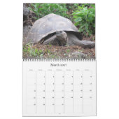 galapagos wildlife 2026 kalender (Mär 2027)