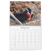 galapagos wildlife 2026 kalender (Feb 2027)