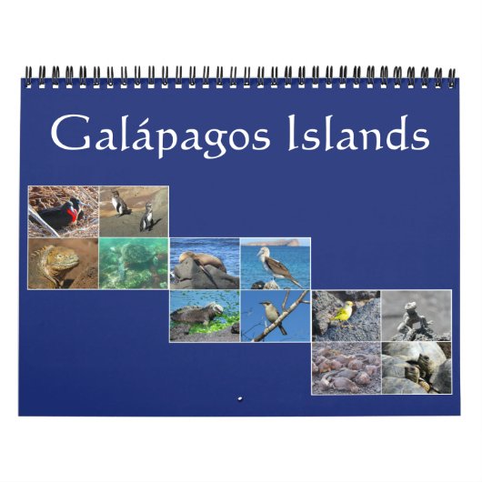 galapagos wildlife 2026 kalender (Titelbild)
