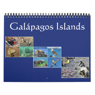 Galapagos-Wildtiere 2027 Kalender