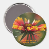 Galardia Magnet (Vorderseite/Rückseite)