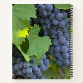 Galaten 5:22-23 Die Frucht des Geistes Notizblock (Rückseite)