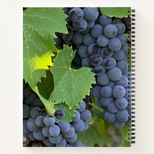 Galaten 5:22-23 Die Frucht des Geistes Notizblock (Rückseite)