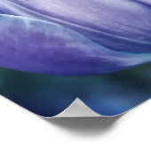 Galaten 6:9 Blue Tulip Poster (Ecke)