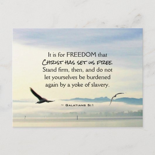 Galatians 5:1 Für FREEDOM Christ hat Set uns koste Postkarte (Vorderseite)
