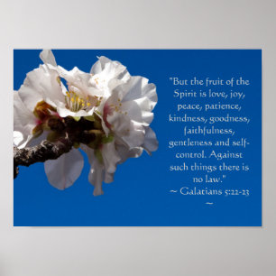 Galatians 5:22,23 Plakat