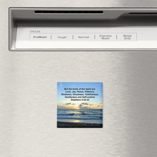 GALATIANS 5 OBST DER SPIRITT-SKRIPTURE VERSE MAGNET (In Situ (Geschirrspüler))