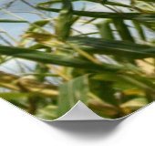 Galationen 6:7 Was immer ein Mensch sät... Poster (Ecke)