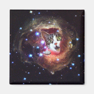 Galaxie-Raum-Katzen LOL 2 Zoll-Quadrat-Magnet Magnet
