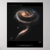 Galaxie-Rose Poster (Vorne)