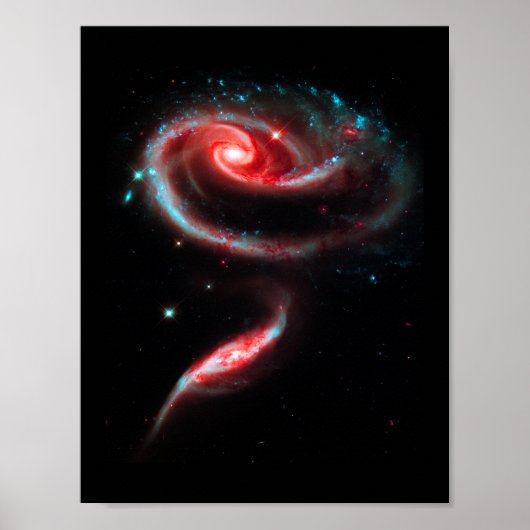 Galaxie Rose Rot Poster (Vorne)
