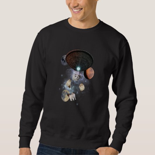 Galaxy Cat Himalayan Ragdoll Birman Cool Cat And K Sweatshirt (Vorderseite)