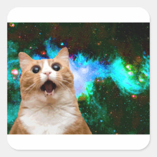 GALAXY CAT QUADRATISCHER AUFKLEBER