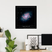 Galaxy NGC 7793 - Spitzer Space Telescope - Infrar Poster (Heimbüro)