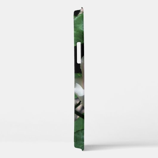 Galaxy Phone Case White Rose (Rückseite / Rechts)