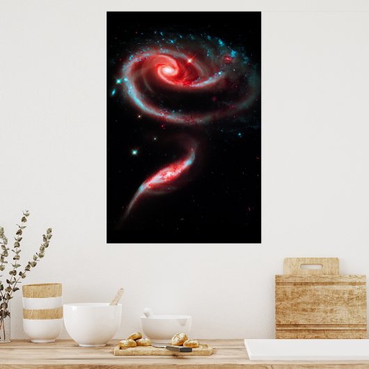 Galaxy Rose Red Poster (Küche)