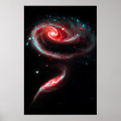 Galaxy Rose Red Poster (Vorne)