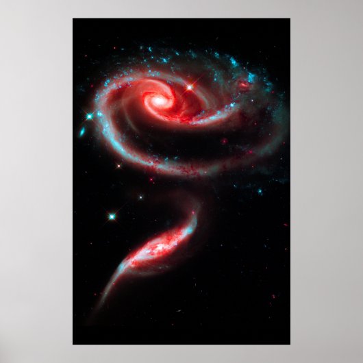 Galaxy Rose Rot Poster (Vorne)