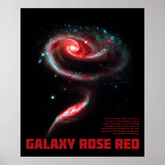 Galaxy Rose Rot Poster (Vorne)