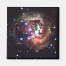 Galaxy Space Cats LOL 2 Zoll Square Magnet
