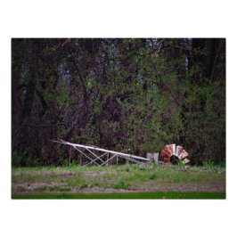 "Gale Pushed Me" Fotodruck