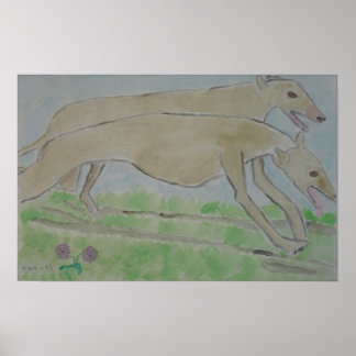 Galgo/Windhund Poster