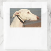 Galgo Windhund Rechteckiger Aufkleber (Tasche)