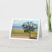 Galiläa, israelische Landschaft Karte (Vorderseite)