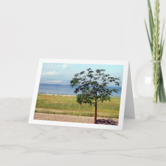 Galiläa, israelische Landschaft Karte (Vorderseite)