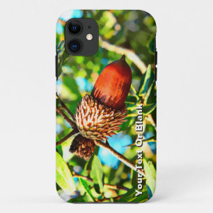 Galilee Acorn Case-Mate iPhone Hülle