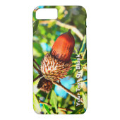 Galilee Acorn Case-Mate iPhone Hülle (Rückseite)