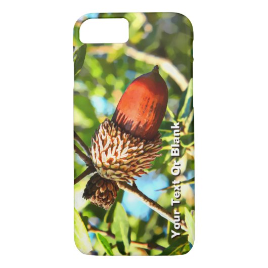 Galilee Acorn Case-Mate iPhone Hülle (Rückseite)